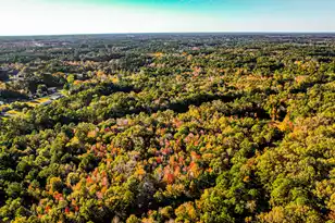 240 Groomsville Rd, Moncks Corner, SC 29461 - Photo 98