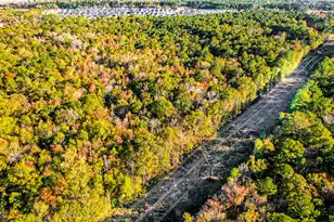 240 Groomsville Rd, Moncks Corner, SC 29461 - Photo 92