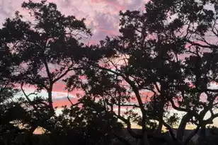 2422 Racquet Club Dr, Seabrook Island, SC 29455 - Photo 44