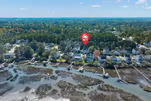 1365 Black River Rd, Mount Pleasant, SC 29466 - Photo 44