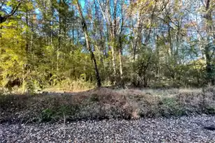 0 Dig It Rd, Summerville, SC 29483 - Photo 4