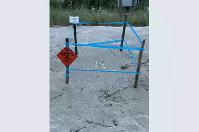 3113 Palmetto Boulevard, Edisto Island, SC 29438 - Photo 18