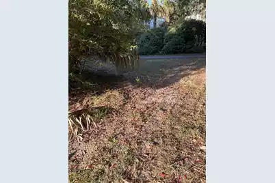 3113 Palmetto Boulevard, Edisto Island, SC 29438 - Photo 8