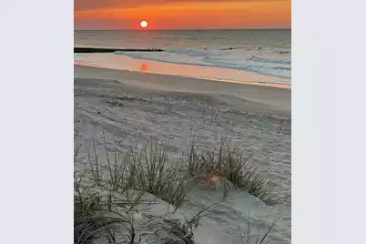 3113 Palmetto Boulevard, Edisto Island, SC 29438 - Photo 1