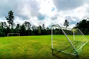 771 Meadowbrook Ln, Summerville, SC 29486 - Photo 42