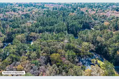 28 Buttonbush Drive, Ravenel, SC 29470 - Photo 12