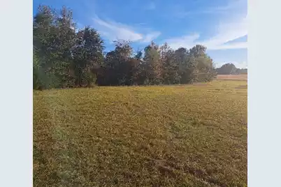 01 Joby Lane, Eutawville, SC 29048 - Photo 1