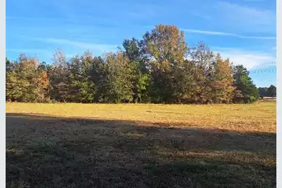 01 Joby Lane, Eutawville, SC 29048 - Photo 2