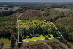 598 Maple Branch Rd, Reevesville, SC 29471 - Photo 2