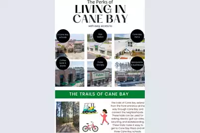 411 Carrara Drive, Summerville, SC 29486 - Photo 48