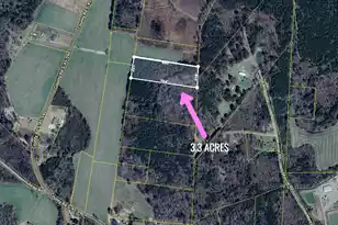 0 Pinckney Rd, Kingstree, SC 29556 - Photo 1