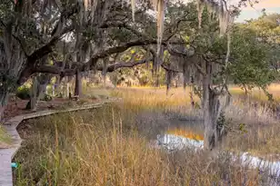 1996 Minott St, Charleston, SC 29412 - Photo 48