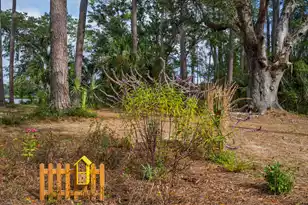 8606 Glascow Island Ln, Edisto Island, SC 29438 - Photo 70