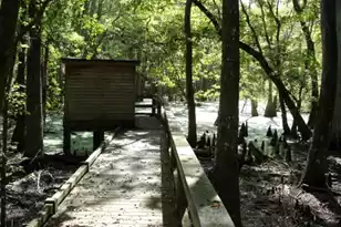 8606 Glascow Island Ln, Edisto Island, SC 29438 - Photo 76