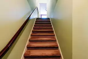 544 Capers Rd, Walterboro, SC 29488 - Photo 62