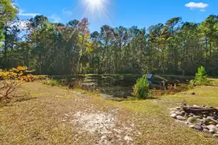 7687 Hwy 162, Hollywood, SC 29449 - Photo 34