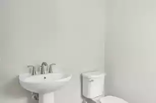 3017 Robeson Trce, Johns Island, SC 29455 - Photo 10