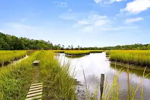 2911 Glenarden Dr, Charleston, SC 29414 - Photo 48