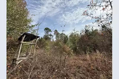 3391 Davis Bridge Road, Williston, SC 29853 - Photo 1