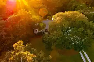 5323 Peerless Pl Dr, Wadmalaw Island, SC 29487 - Photo 2