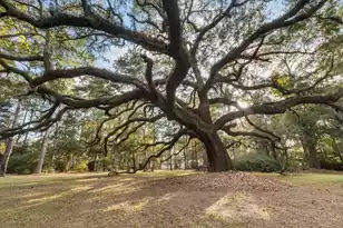 9875 Jamison Rd, Summerville, SC 29485 - Photo 22