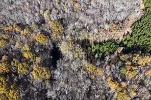 0 Mill Creek, Bethune, SC 29009 - Photo 20