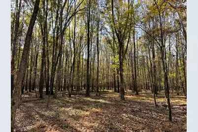 0 Mill Creek, Bethune, SC 29009 - Photo 6