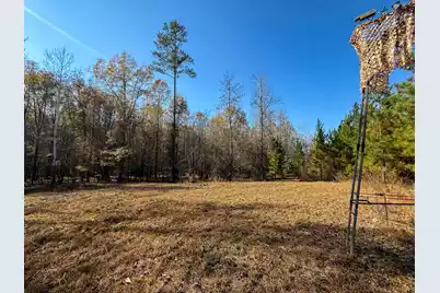 0 Mill Creek, Bethune, SC 29009 - Photo 10