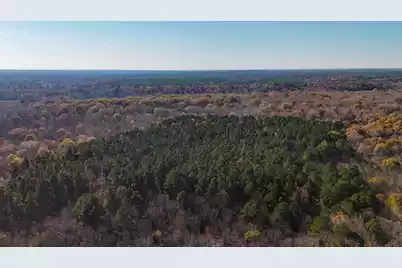 0 Mill Creek, Bethune, SC 29009 - Photo 16