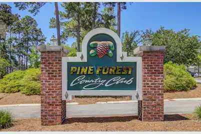 101 Presidio Bend, Summerville, SC 29483 - Photo 48