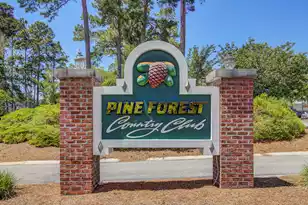 101 Presidio Bend, Summerville, SC 29483 - Photo 48