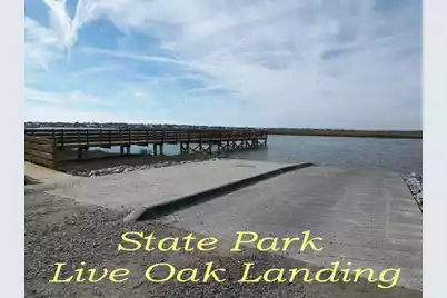 31 Palmetto Point Lane, Edisto Island, SC 29438 - Photo 50