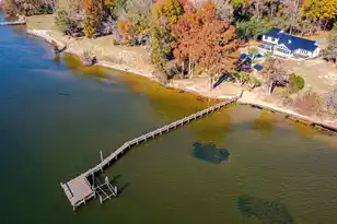 3270 Princess Pond Rd, Summerton, SC 29148 - Photo 166
