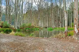 159 Danielle Way, Jamestown, SC 29453 - Photo 30