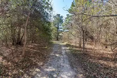 170 Mill Branch Road, Orangeburg, SC 29118 - Photo 52