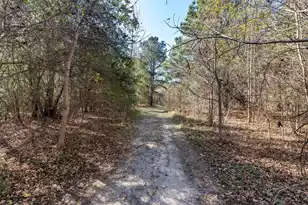 170 Mill Branch Rd, Orangeburg, SC 29118 - Photo 52