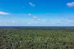 148 Hidden Hills Rd, Cross, SC 29436 - Photo 54