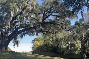 16 Basilica Ave N, Hanahan, SC 29410 - Photo 54