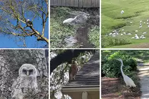 16 Basilica Ave N, Hanahan, SC 29410 - Photo 56