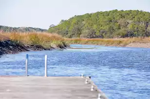 1722 Vireo Ct, Johns Island, SC 29455 - Photo 22