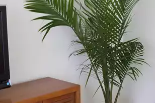 637 Baytree Ct, Mount Pleasant, SC 29464 - Photo 10