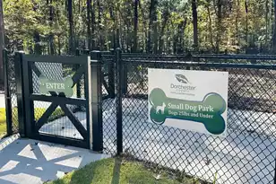 230 Congaree River Dr, Summerville, SC 29485 - Photo 50