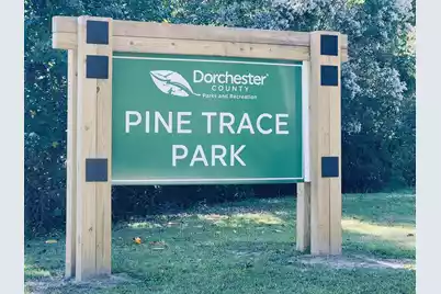 230 Congaree River Drive, Summerville, SC 29485 - Photo 44