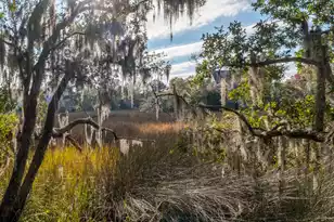 135 Pier View St, Charleston, SC 29492 - Photo 42