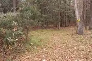 Lot 208 Prices Bridge Ln, Walterboro, SC 29488 - Photo 1