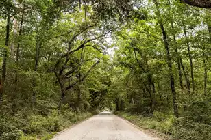 2422 Hwy 174, Edisto Island, SC 29438 - Photo 32
