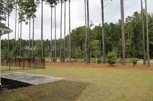 1008 Magnolia Warbler Way Way, Ravenel, SC 29470 - Photo 10