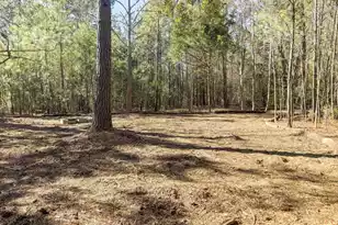 5528 Chisolm Rd, Johns Island, SC 29455 - Photo 28