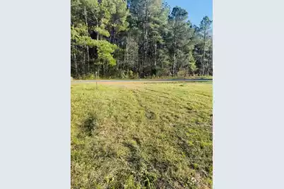 0 Bishopville Road, Saint George, SC 29477 - Photo 8