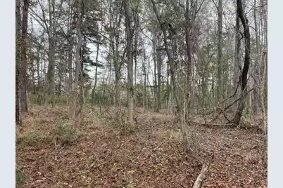 0 Dodge Lane, Round O, SC 29474 - Photo 4